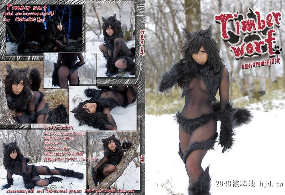 nonsummerjack–Timberwolf[176P]第0页 作者:Publisher 帖子ID:129925 TAG:欧美图片,歐美激情,2048核基地