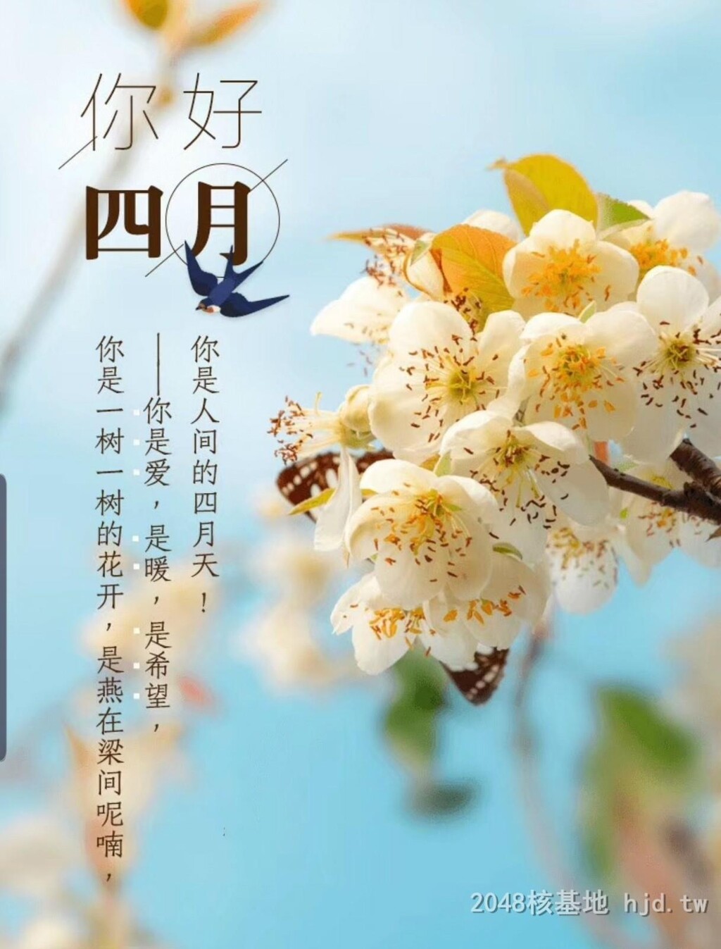 欲望是生命力的体现!其实吧，也不能说啥也没穿不是？[26P]第0页 作者:Publisher 帖子ID:253209 TAG:自拍图片,網友自拍,2048核基地