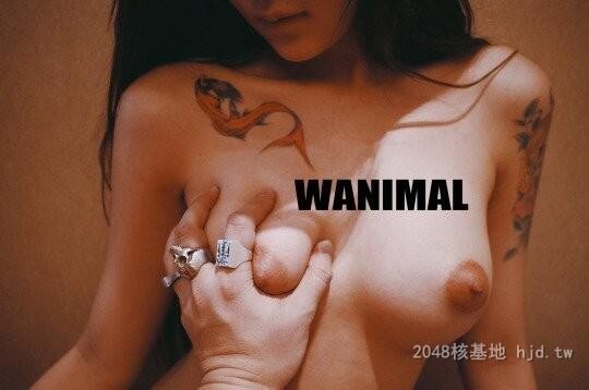 王动WANIMAL作品347[20p]第0页 作者:Publisher 帖子ID:284853 TAG:日本图片,亞洲激情,2048核基地