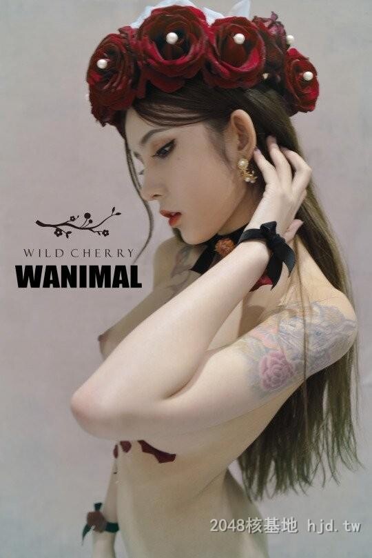 王动WANIMAL作品346[20p]第0页 作者:Publisher 帖子ID:284852 TAG:日本图片,亞洲激情,2048核基地