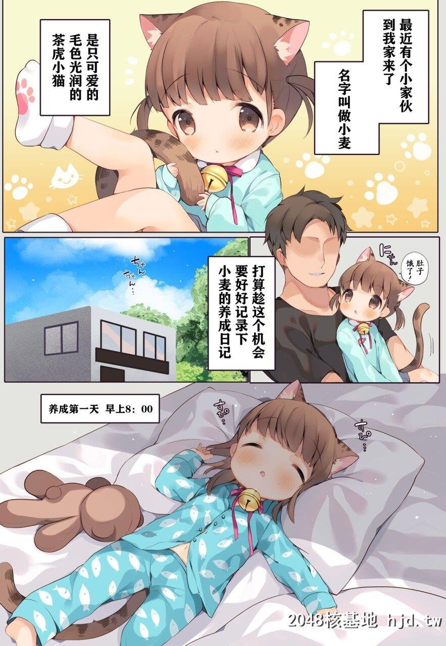 [SUNCHILD[緑叶みんと]]にゃんこいくせいにっきその1第0页 作者:Publisher 帖子ID:278527 TAG:动漫图片,卡通漫畫,2048核基地